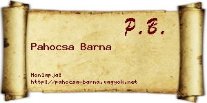 Pahocsa Barna névjegykártya